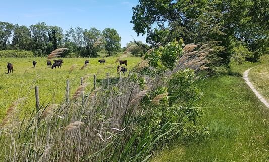 boucle-28-021-canal-de-lunel