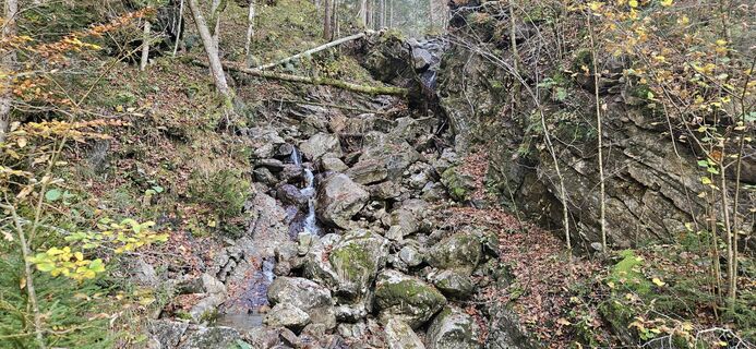 Photo de Berni_S le long du parcours