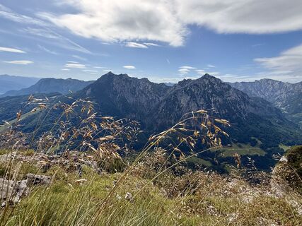 Fotografija s spletne strani Natur_erleben_dg na poti