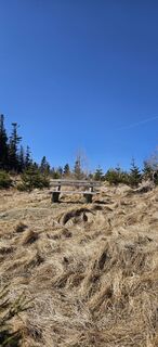 Fotografia z Ingrid H na trase