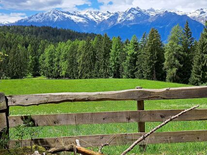 Fotografia z r55h na trase