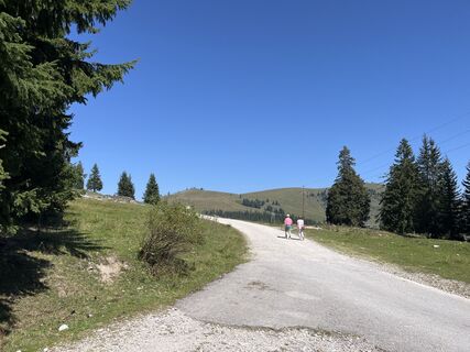 Fotografia z Heinz Sperl na trase