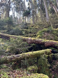 Foto von Michael Erdmann entlang der Tour