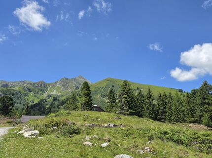 Fotografija s spletne strani MRDL na poti