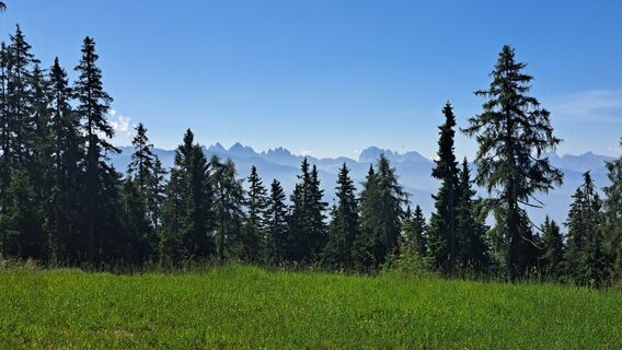Fotografija s spletne strani Daniel Riedo na poti