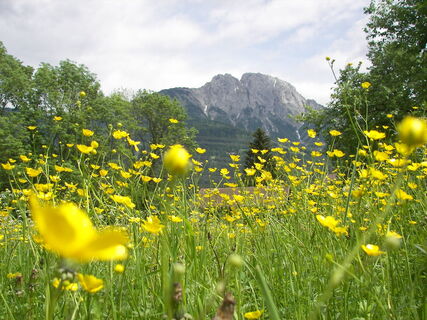 Reißkofel von Griminitzen aus gesehen