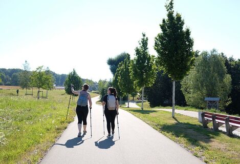 03 hoehenweg 1