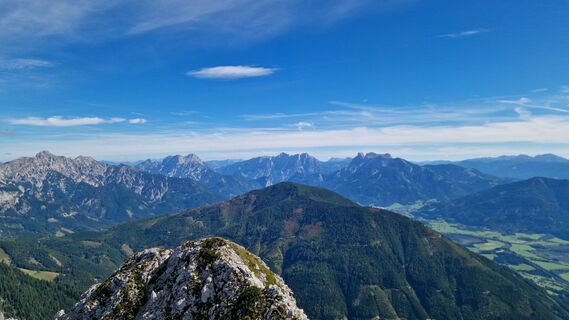 Fotografia z Jürgen Fuchsberger na trase