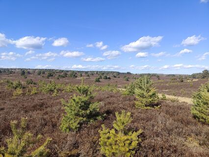 Foto von petra kroes entlang der Tour