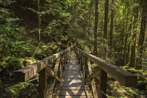 Ravennaschlucht Brücke