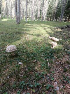 Photo de Tomy 66 le long du parcours