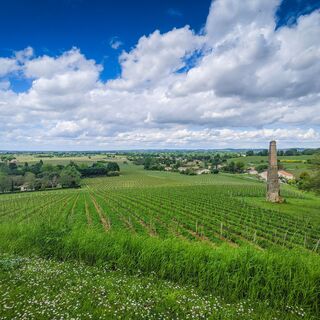 Vue_depuis_l_eglise_Saint-Pierre_-_Pujols_-_OTCP_E_Gaye_2021