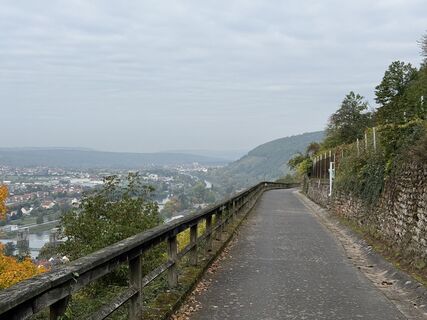Foto de Vanessa Strauß a lo largo del recorrido