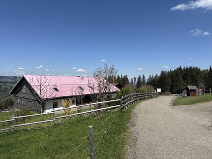 Foto von Similaun entlang der Tour