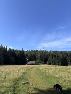 Zdjęcie z Lissy Smith wzdłuż trasy