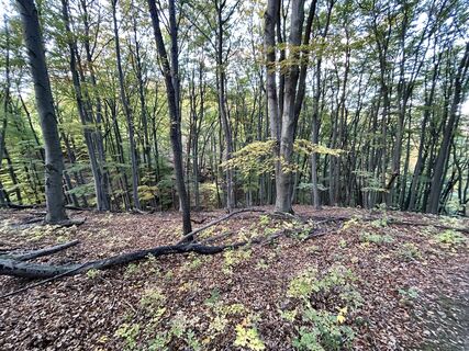 Fotografija s spletne strani János Pásztor 2 na poti