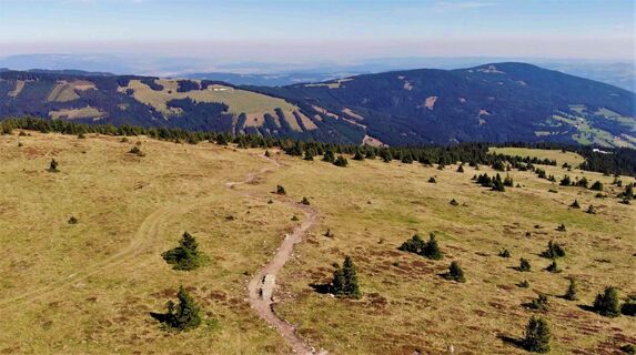 Hochwexl Trail ,,The WU" by Wexl Trails #23