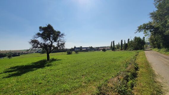 Unterwegs auf dem Bitburger LandGang in Idesheim
