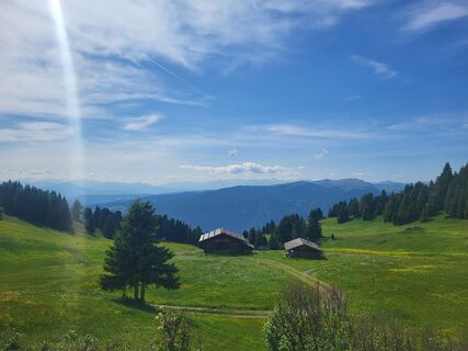 Foto von Anke Hetzer entlang der Tour