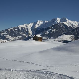 Davos Munts dado
