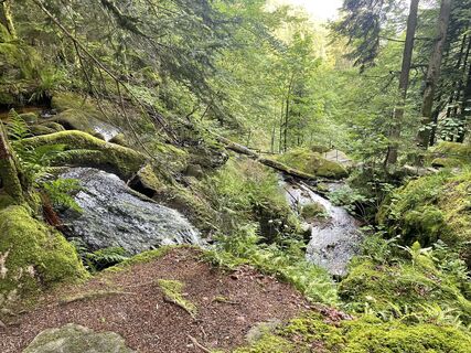 Photo de Ralf Umminger le long du parcours