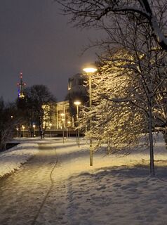 Foto de Mimi a lo largo del recorrido