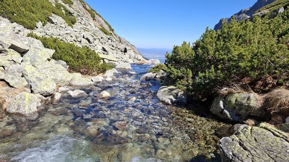Fotografija s spletne strani Márti na poti