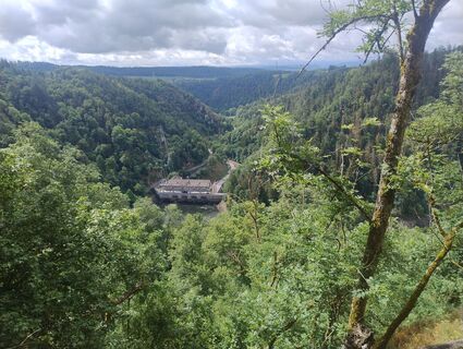 Foto von Betzenbergfex entlang der Tour