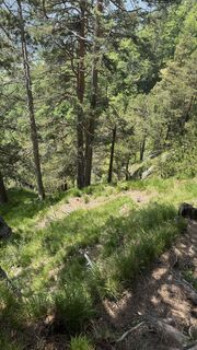 Foto von Reiner Hennemuth entlang der Tour