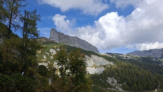 Foto von Fuchs Irene entlang der Tour