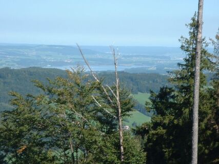 Unterwegs am Gaisberg