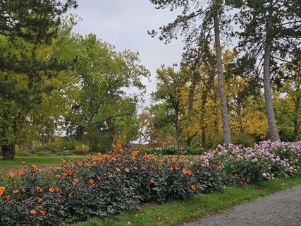 Foto från Manfred Mumme under resans gång