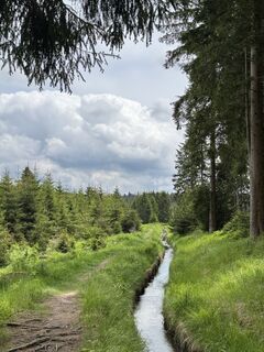 Photo de Gunnar Engelmann le long du parcours