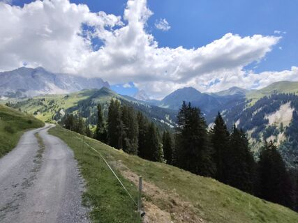 Foto von Peter Seliner entlang der Tour
