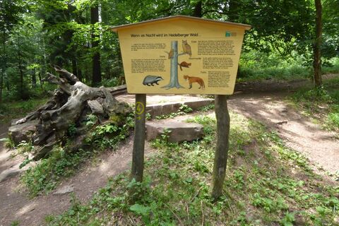 Walderlebnispfad, Heidelberg
