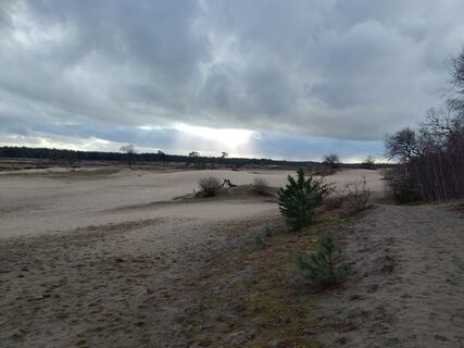 Fotografija s spletne strani Ronald van Beers na poti