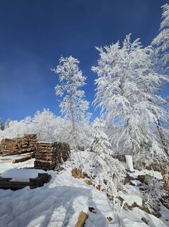 Foto von Franz Russ entlang der Tour
