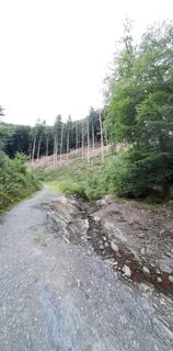 Foto von Mel Linders entlang der Tour