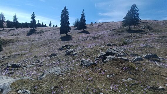 Fotografija s spletne strani Davor Puklin na poti