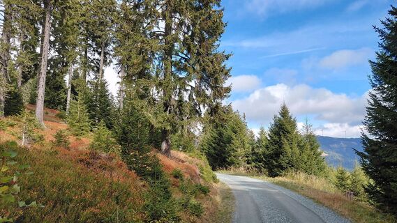 Foto von Wolfgang Arlic 1 entlang der Tour