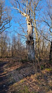 Fotografie z Burkhard Wirsing na trase