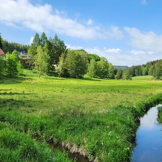 Blick ins Elstertal