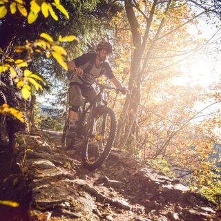 Biker auf dem Mayentset Bike oberhalb von Conthey