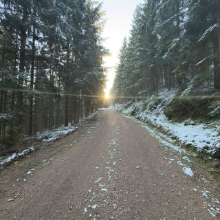 Foto von Steffen Kiesel entlang der Tour