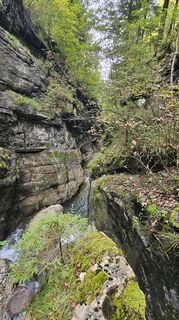 Foto de Olexm80 a lo largo del recorrido