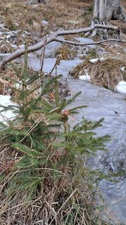 Foto von Urban Wille entlang der Tour
