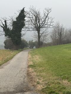 Fotografija s spletne strani Agnese Martinelli na poti