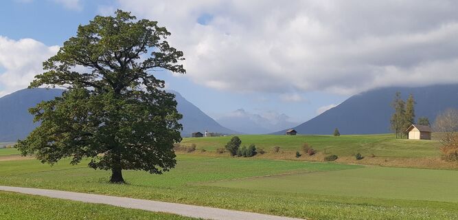 Foto da Reinhard R lungo il tour