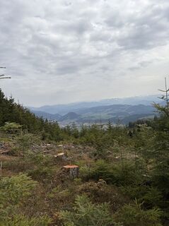 Fotografia z Mandy Friedrich na trase