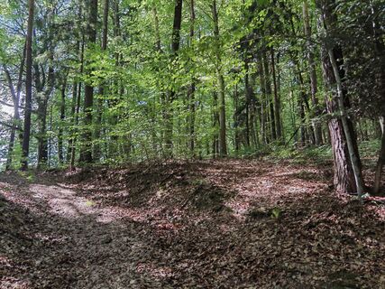 Foto von Josefpock50 entlang der Tour